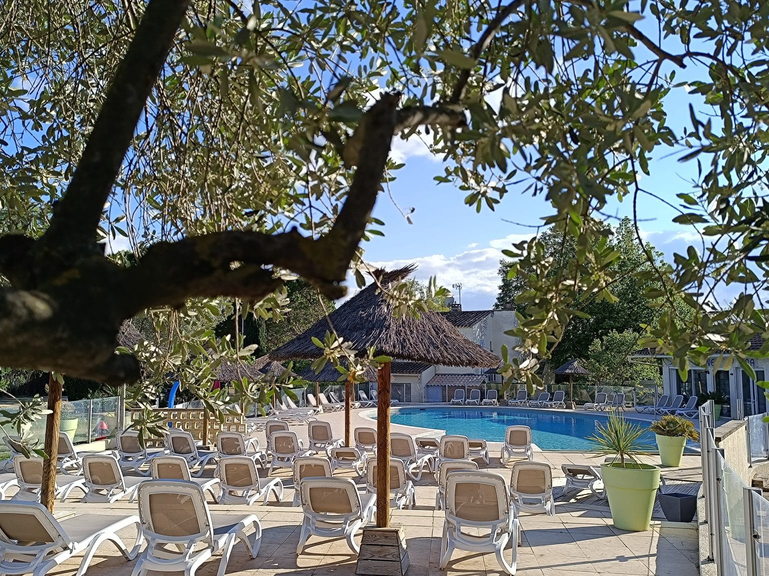 Accueil - Camping Saint Rémy de Provence Le Mas de Nicolas